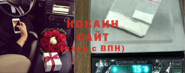 стафф Бронницы