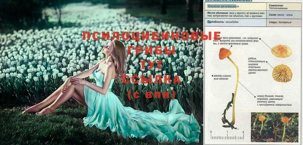 кокаин колумбия Бородино