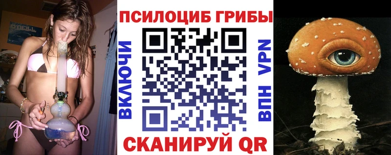 Купить где  Мензелинск  Галлюциногенные грибы Psilocybe 