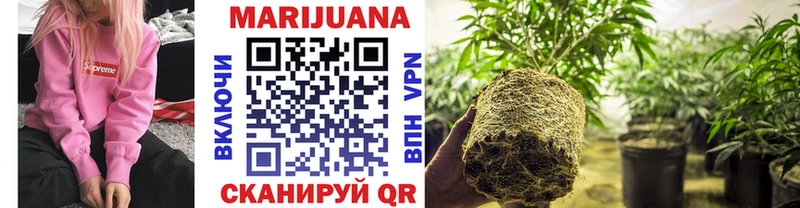Марихуана THC 21%  Купить закладки  Мензелинск 
